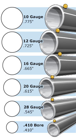 bore size shotgun gauge