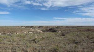 texas panhandle