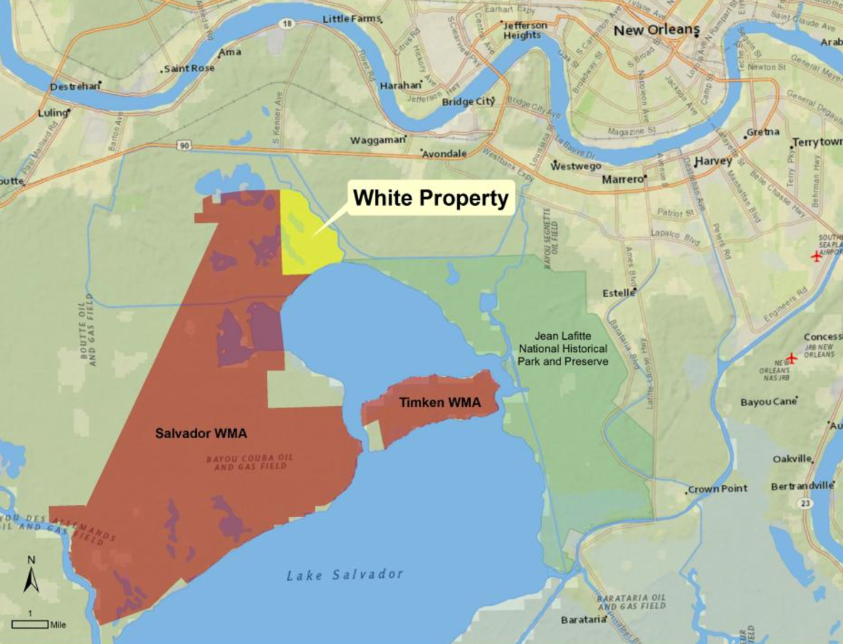 Louisiana Adds 1,900 Acres to Wildlife Management Areas | Today’s