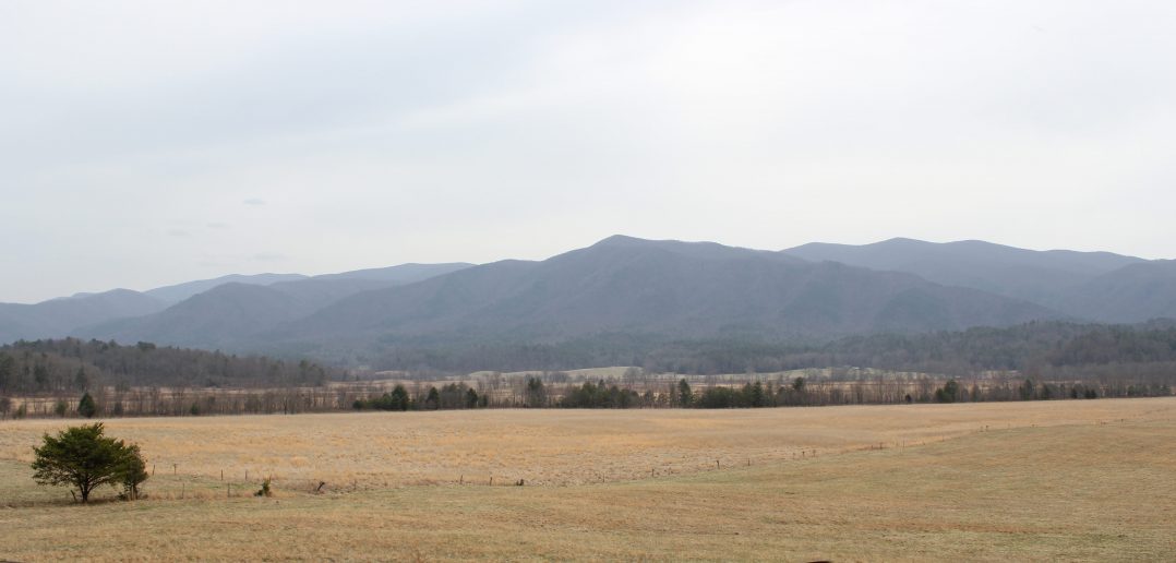 texas landscape